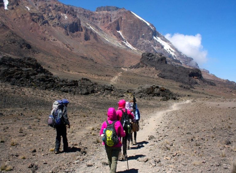 6-Day Kilimanjaro Rongai Route