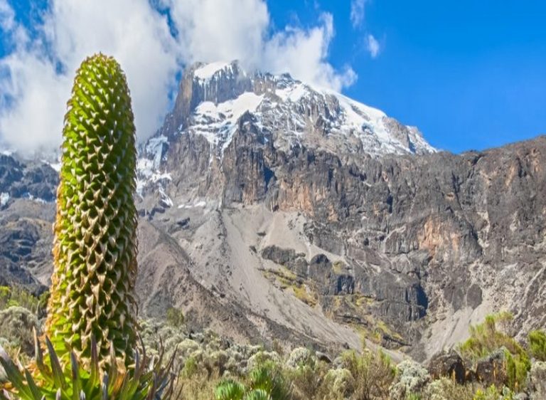8-Day Kilimanjaro Lemosho Route