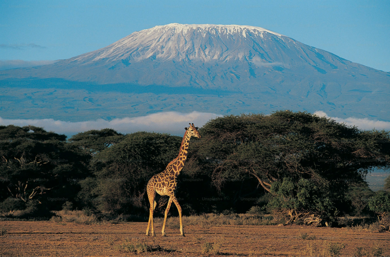 Mt.Kilimanjaro routes